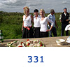 331