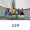 229
