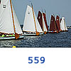 559